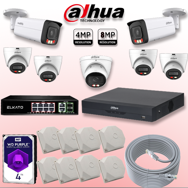 پکیج حرفه‌ای داهوا طلافروشی 4TB